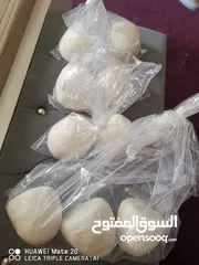  2 لبن جميد كركي