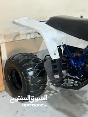  6 Banshee 350 بانشي