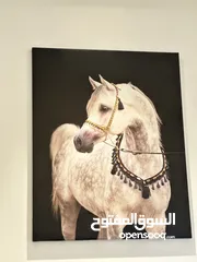  1 لوحة خيل راقيه