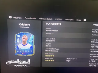  11 حساب فيفا FC25