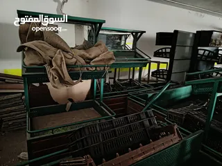  2 ستاندات خضرا للبيع