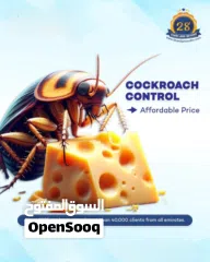  15 paint/wall paper/plishing/cleaning/pest control services/ Electrical and plumbing services