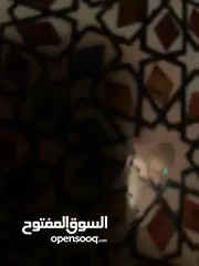  4 صينية مزغرفة من الطراز الرفيع حجم كبير بتوسع اكتر من 17فنجان الوانها روعةة