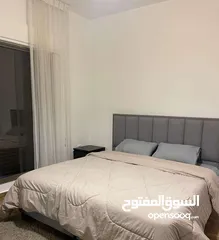  9 شقة مفروشة سوبر ديلوكس اعلان رقم (O276)