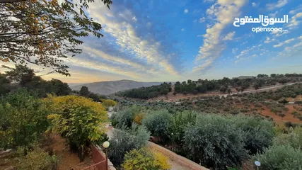  6 مزرعة و شاليهات جرش هيلز الخاصة  Jerash Hills Resort and Private Chalets