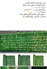  8 رول ورق شجر اخضر كثيف 3 متر