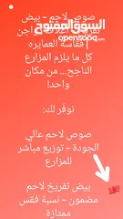  23 صوص لاحم مزارع   اعلاف ذره صويا شعير وعده محلات الدجاج   كيا فنتيرا موديل 1999ازرق كاش اواقساط