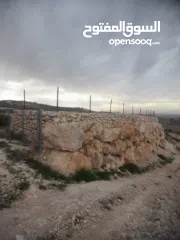  6 1800 م ارض طابو A الخليل دورا  خرسه