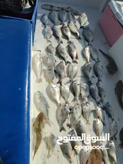  11 ايجار طراد رحلات بحرية