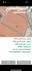  4 ارض للبيع 500 متر في قرية رجم الشامي حوض الغدير الجنوبي على شارع عمان التنموي