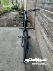  4 بسكليت نمره 24