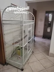  3 big cage for parrot for sale
