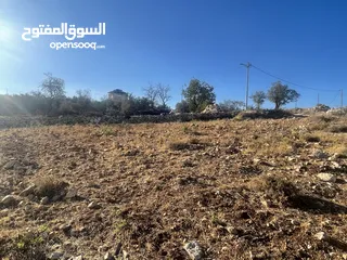  7 ارض للبيع في واد رحال