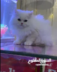  2 ماشاء الله  اذكروا الله وصلوا ع النبي