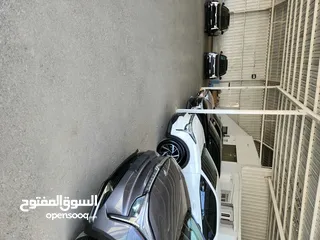  11 نيتا U برو جميع الأوان  2022 جميع الأصناف