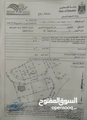  4 ارض تجاري  تصنيف مركز تجاري - بيتونيا- شارع المعبر مقابل معرض قرش- للبيع