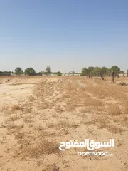  8 مزرعة للبيع بموقع مميز قريب للخدمات والسعر مناسب