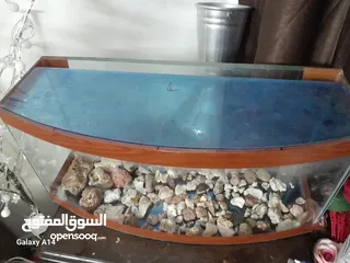  5 احواض سمك للبيع بجوده عاليه