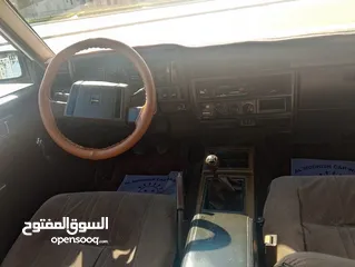  8 اللبيع سدرك