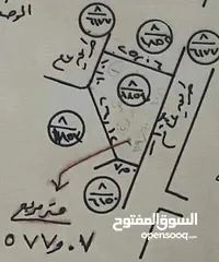  3 بيت للبيع اليرموك