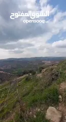  3 للاسثمار قطعة أرض في الأردن  (البلقاء)