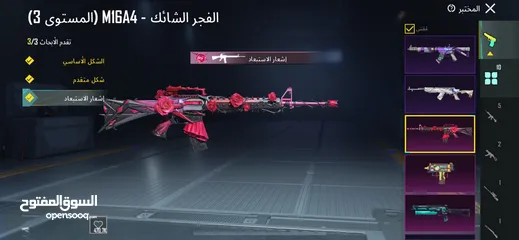 21 حساب ببجي مرتب