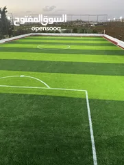  9 عشب ملاعب / عشب حدائق / عشب مدارس / عشب مزارع / عشب صناعي/ نجيل / تارتان Playground grass