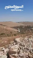  4 ارض للبيع بسعر مغري من المالك قابله للبدل ع سياره