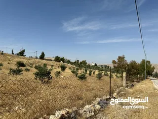  6 ارض 3400م2 للبيع في صروت حوض المرح الأصفر إطلالة مميزة حولها مزارع
