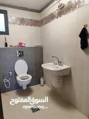  20 شقة مفروشة راقية للإيجار – الماصيون  حي المهندسين