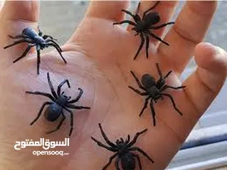  20 مقالب  رعب و نهفات مزح  حشرات دود   و اقعى صرصور و عنكبوت مقلب صدمه مصنعه من السيلكون