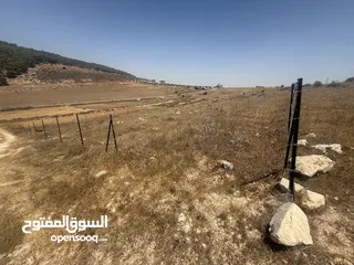  1 نمرة ارض مميزة مساحة صافي 1000 متر مربع