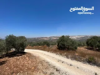  5 Land for Sale – Marda, Salfit (13.8 Donums)  أرض للبيع – مردة، سلفيت (13.8 دونم)