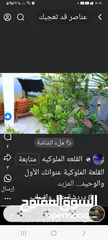  22 فيلا في اريحا للبدل ع ارض اوللبيع
