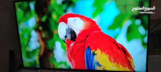  5 شاشه اي فيو 65 سمارت