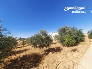  6 منزل للبيع في مادبا