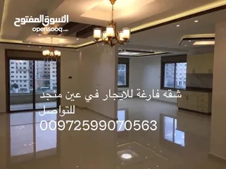  1 شقه فارغة للايجار في عين منجد