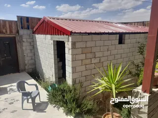  9 بيت للبيع مساحة الارض، الضليل 500 متر على شارعين ..