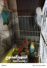  16 فشرات طفرات بلديه كلهم منتجين الفيديو بشرح كلشي