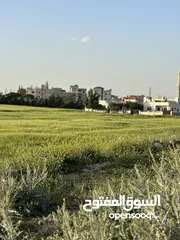  25 منزل مستقل خريبة السوق نافع قرب سوق الخضار المركزي للبيع
