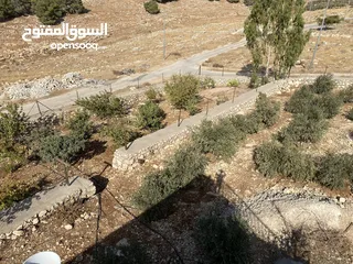  17 مزرعة للبيع في يرقا-السلط، إسكان المهندسين