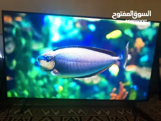  1 شاشه للبيع جينيرال جولد 50 انش عادي مش سمارت بسعر 85