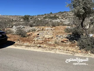  3 تملك قطعة ارض 5 دونم في اعلى جبال بني زيد طابو فلسطيني A والتنازل مباشرة