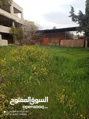  9 قطعه ارض مميزه  للاستثمار بسعر مغري مع منزل في اربد للبيع