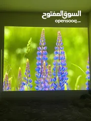  8 بروجكتور Hitachi شبه جديد