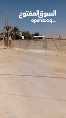  2 ارض للبيع في اريحا