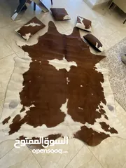  1 جلد بقري معالج من البكتيريا للبيع