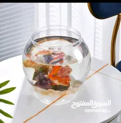  2 حوض سمك كبير او صغير او وسط على اختياركوا