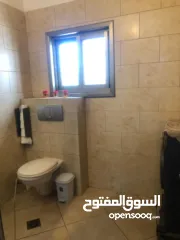  12 شقة في بيتونيا منطقة ال17 الحي الشرقي