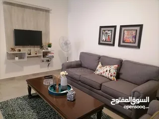  2 Luxurious Furnished Apartment For Rent In Al-Lwaibdeh